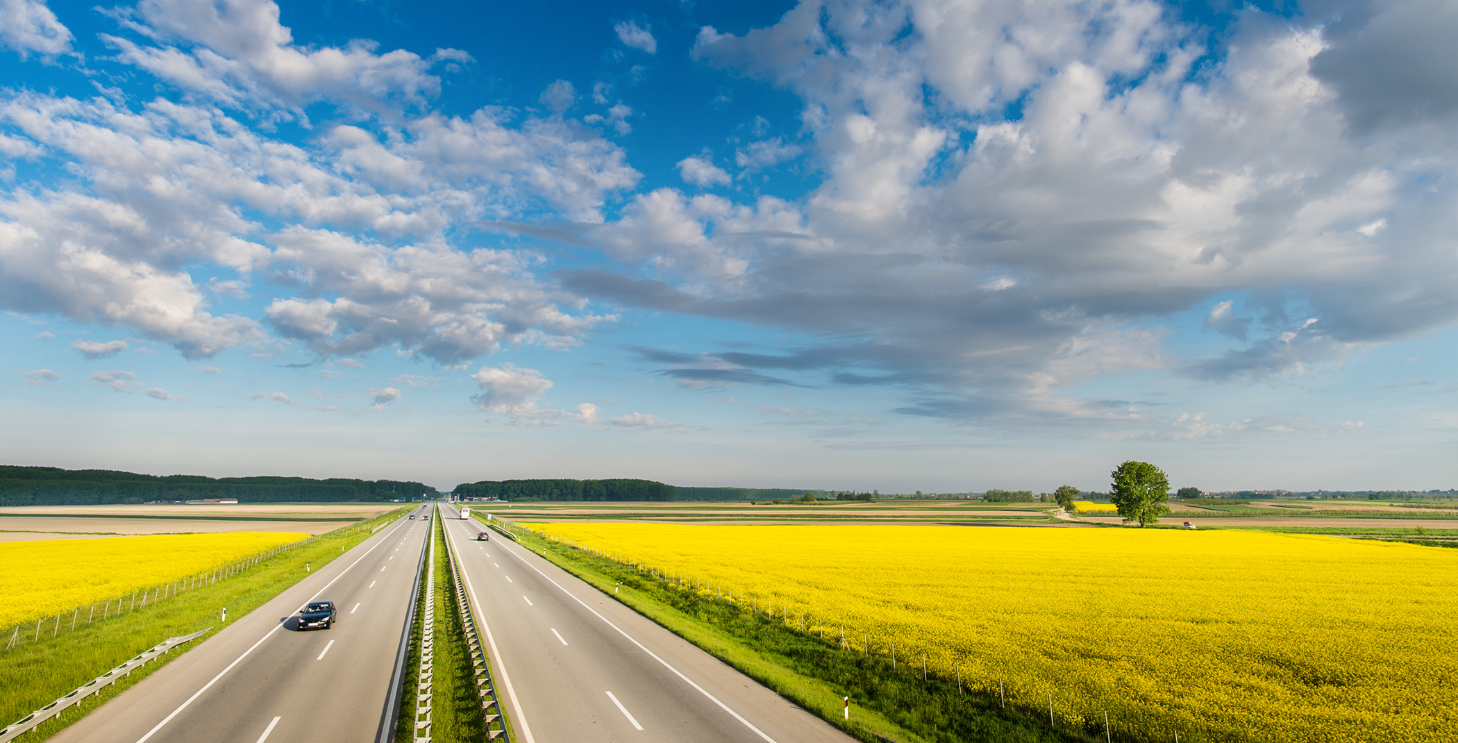 En rak motorväg med gula rapsfält runt om