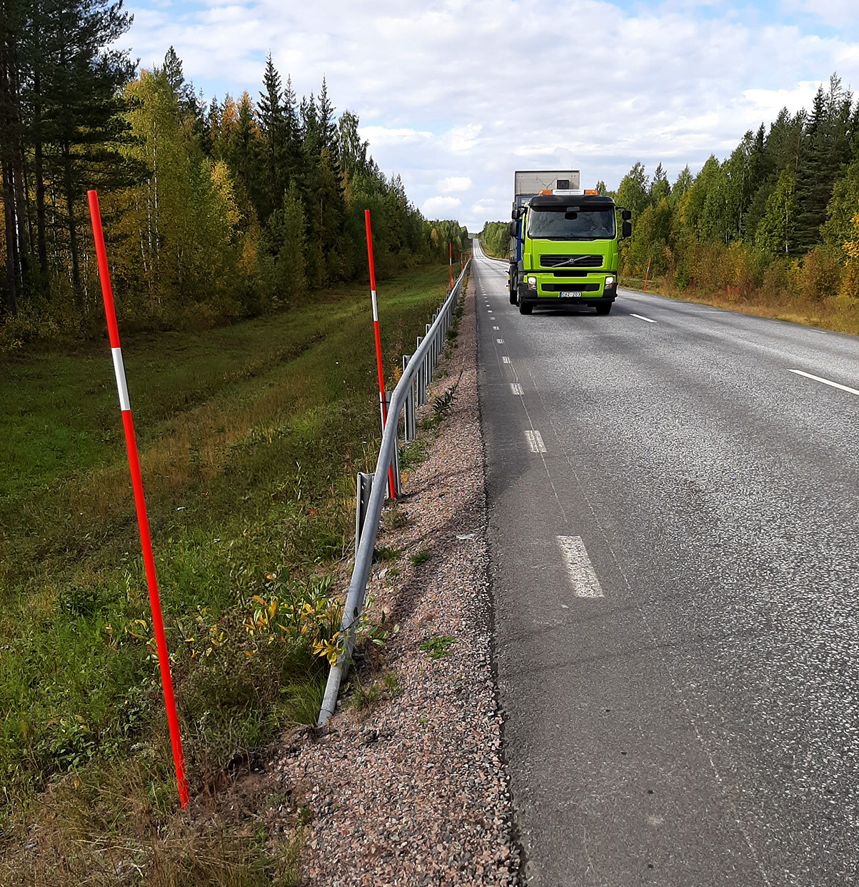 Orangea snökäppar vid sommarväg