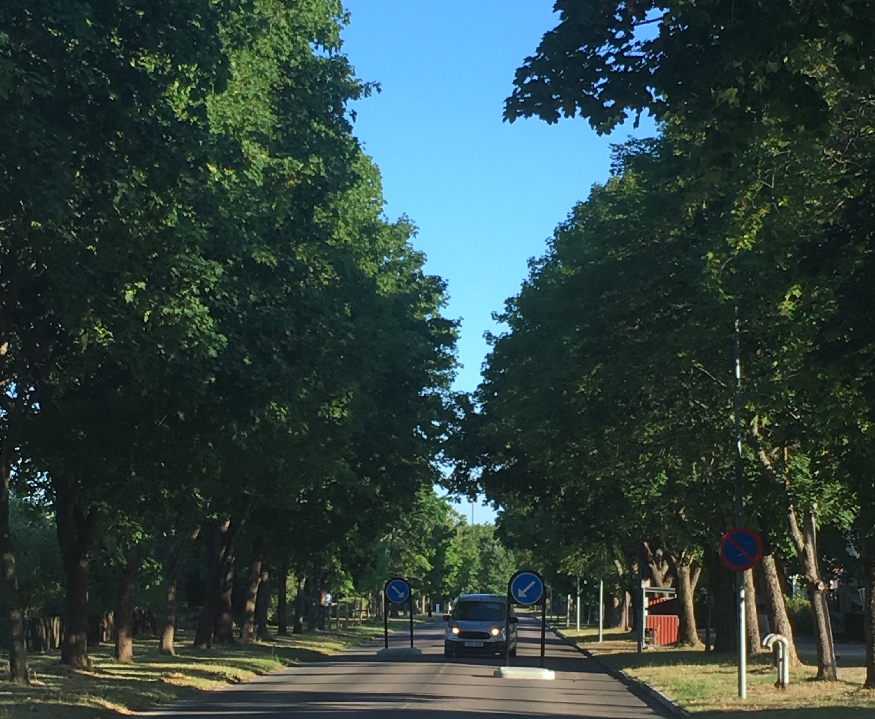 Bild på en bil som kör emellan två trafiköar med skyltbåge som bilder en chikan