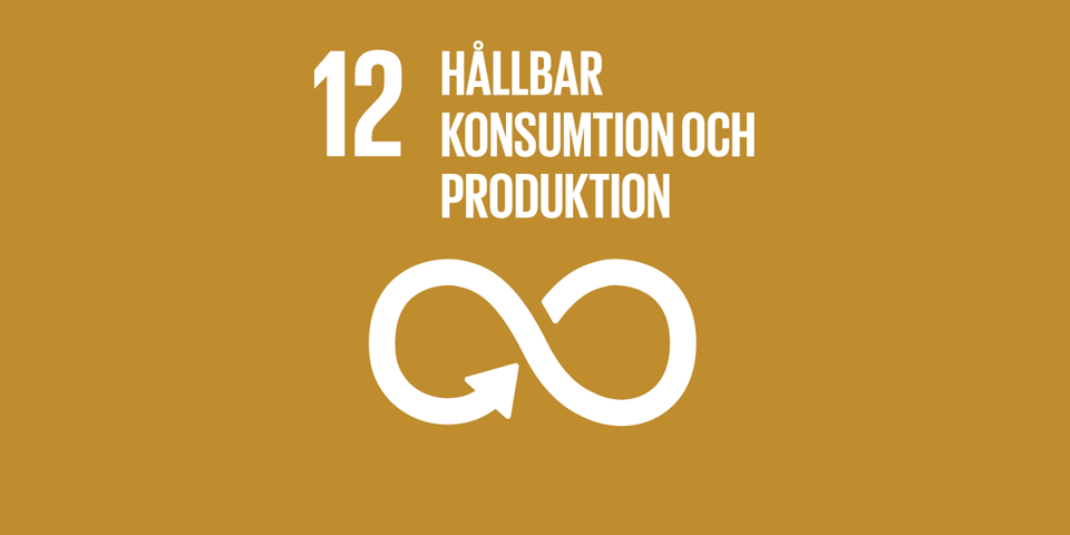 Det globala målet nr 12 - Hållbar konsumtion och produktion